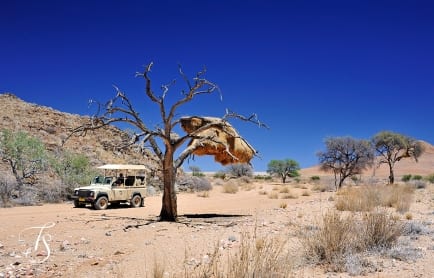 Wolwedans Boulders Camp, Namib Rand, Namibia. © TravelPlusStyle.com