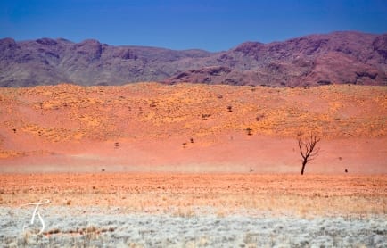 Wolwedans Boulders Camp, Namib Rand, Namibia. © TravelPlusStyle.com