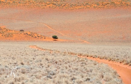 Wolwedans Boulders Camp, Namib Rand, Namibia. © TravelPlusStyle.com