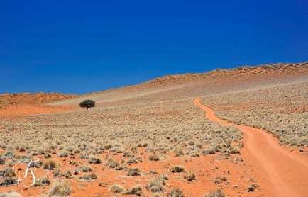 Wolwedans Boulders Camp, Namib Rand, Namibia. © TravelPlusStyle.com