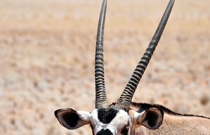 Wolwedans Boulders Camp, Namib Rand, Namibia. © TravelPlusStyle.com