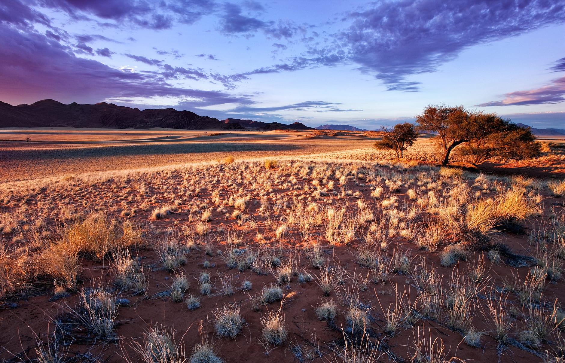 Wolwedans Boulders Camp, Namibia. Hotel Review by TravelPlusStyle. Photo © Wolwedans