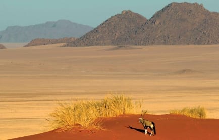enkosi-africa-safari-namibia-namibrand-wolwedans-landscape-oryx
