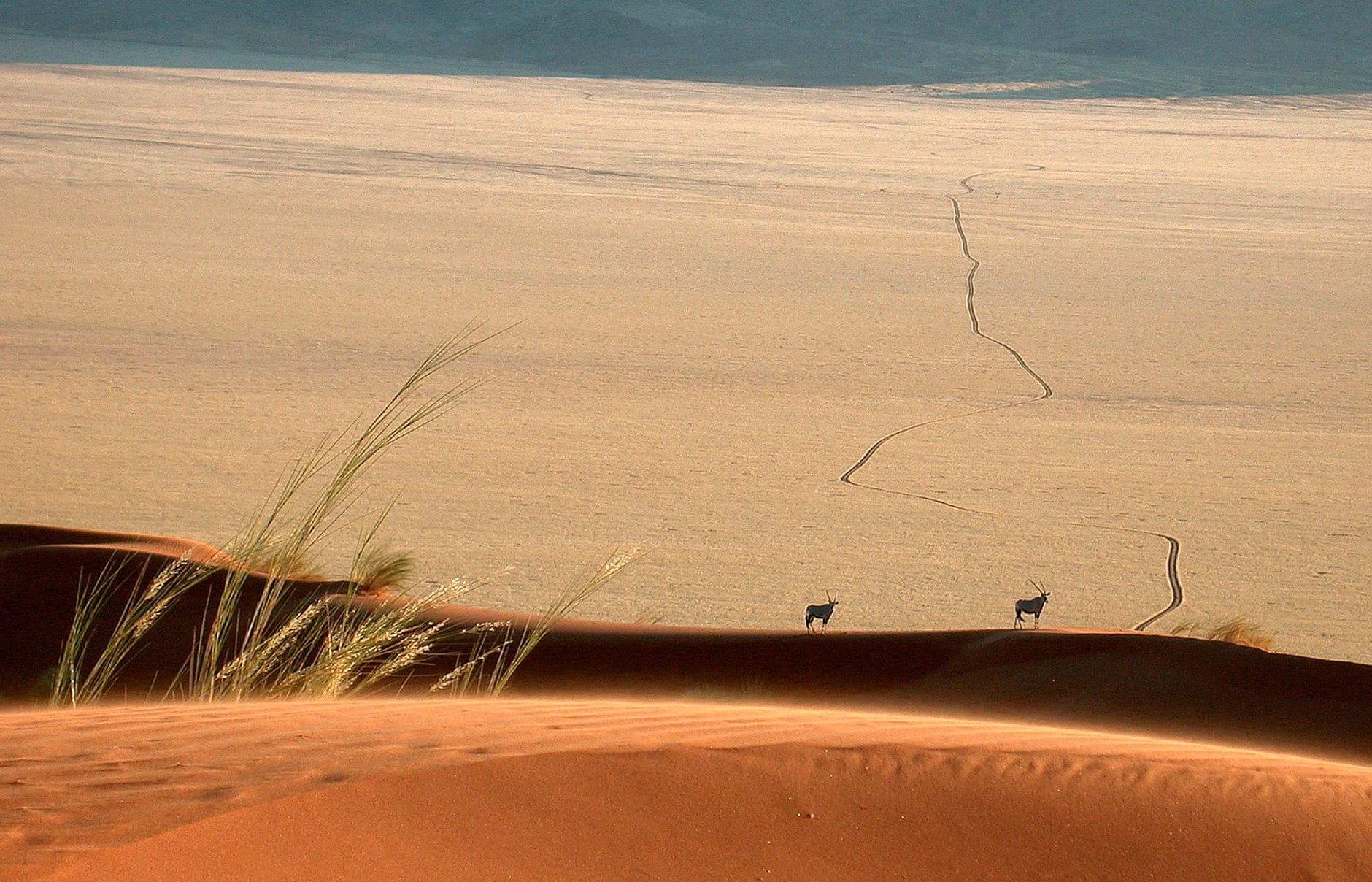 Wolwedans Dunes Lodge, NamibRand, Namibia. Hotel Review by TravelPlusStyle. Photo © Wolwedans