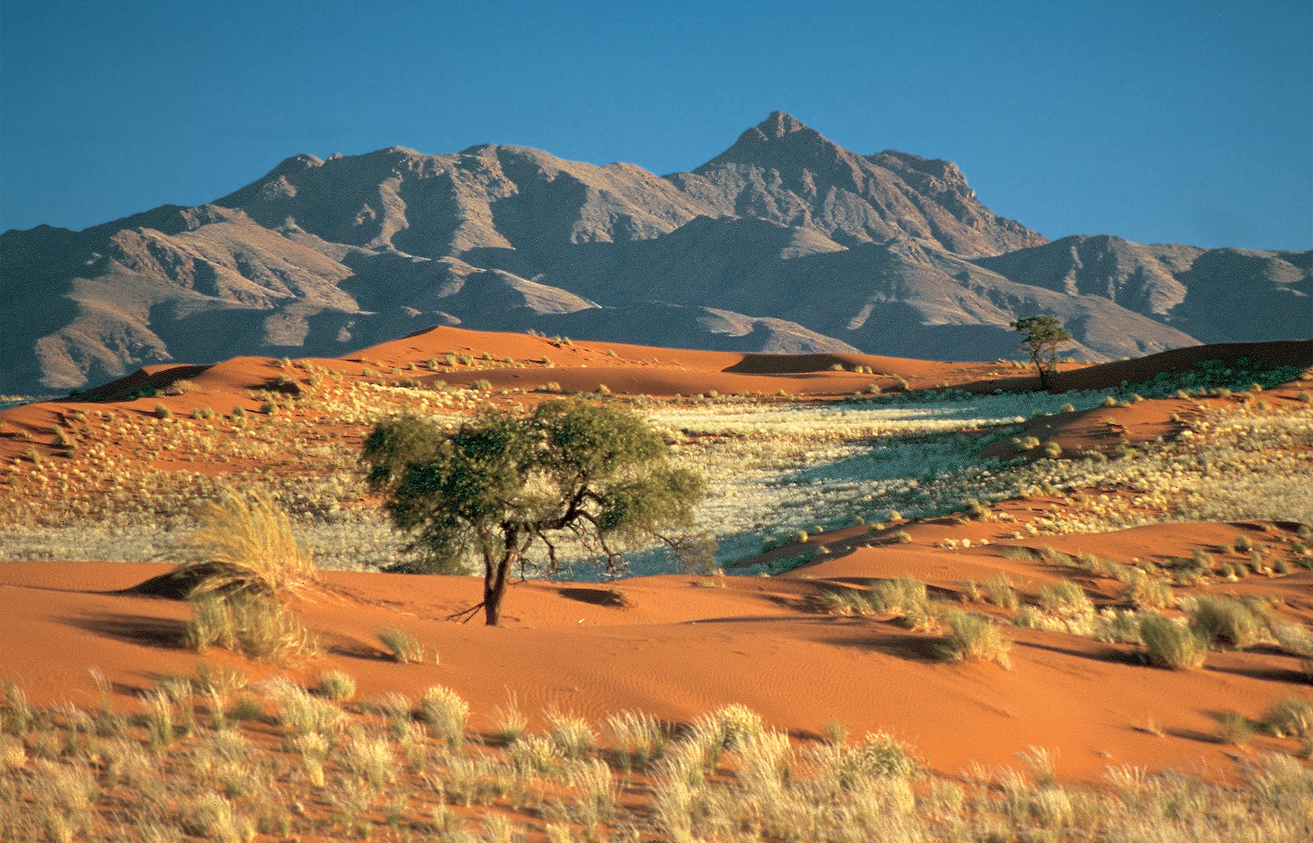 Wolwedans Dunes Lodge, NamibRand, Namibia. Hotel Review by TravelPlusStyle. Photo © Wolwedans