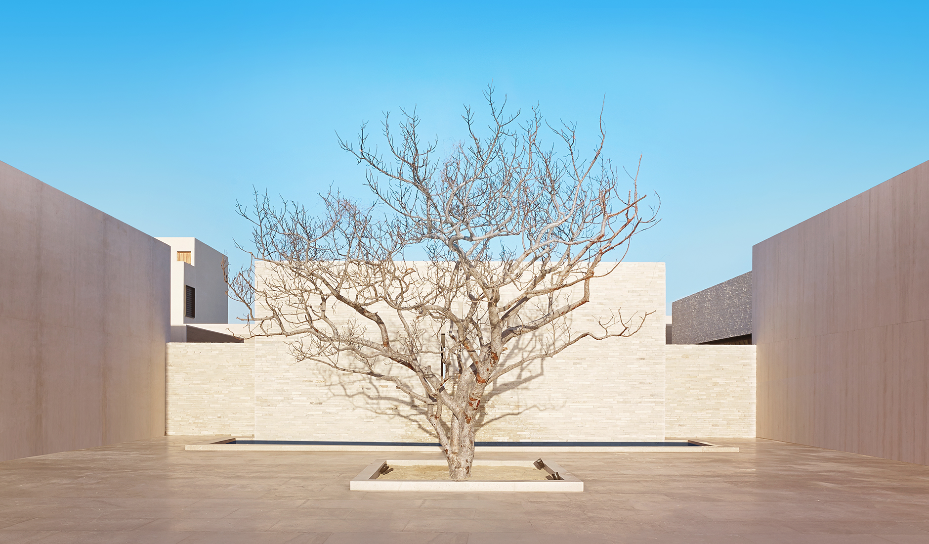 Nobu Hotel Los Cabos, Cabo San Lucas, Baja California, Mexico • The Best Luxury Hotels in Los Cabos and Baja California, Mexico by TravelPlusStyle.com