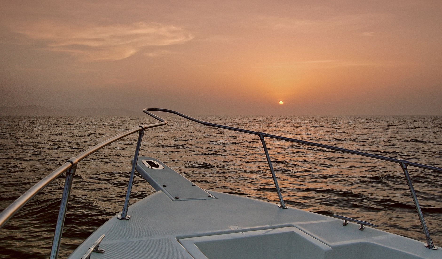 Dolphins in the Gulf of Oman. The Top 10 Things To Do in Oman. Photo by © TravelPlusStyle.com