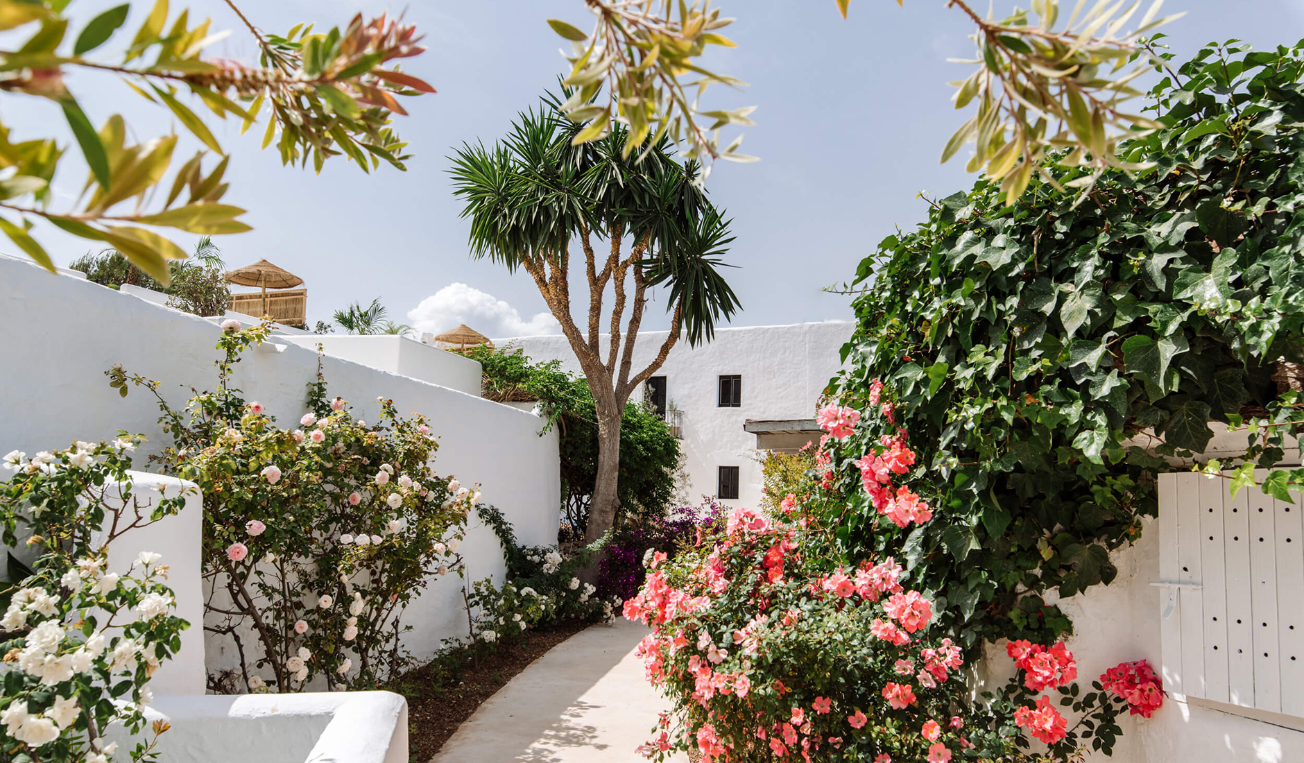 Spanish Countryside Retreat: Can Domo, Ibiza