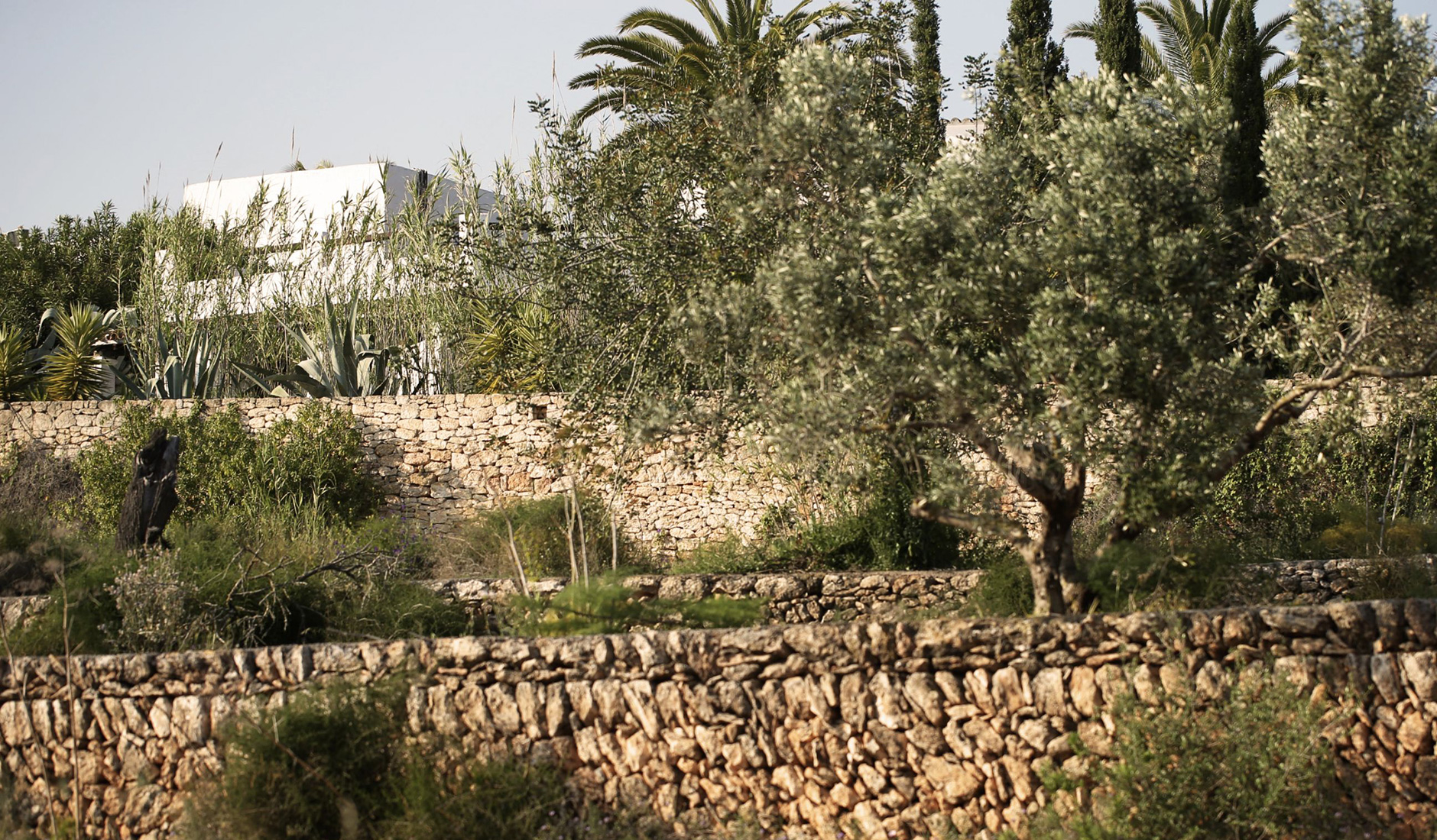 Finca Legado Ibiza • The Best Hotels in Ibiza, Spain