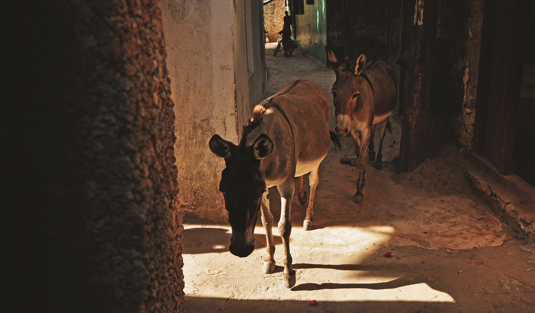 Lamu Island, Kenya • © Photo by TravelPlusStyle.com