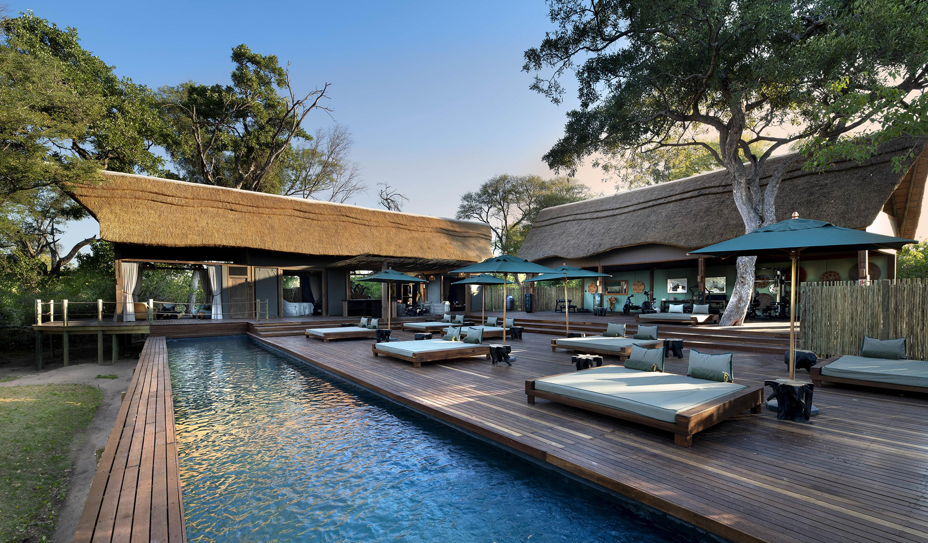 Atzaro Okavango Camp, Botswana • The Best Luxury Hotel Openings of 2024