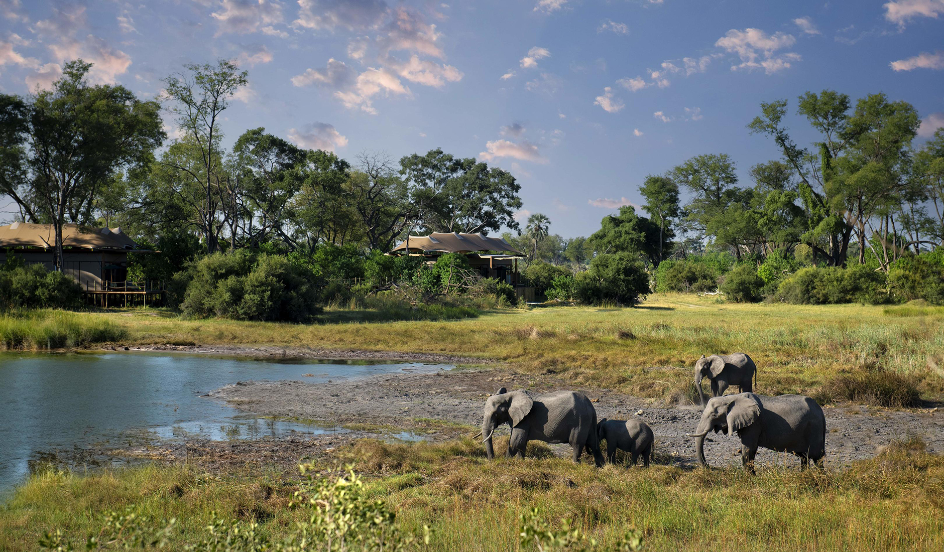 Atzaro Okavango Camp, Botswana • The Best Luxury Hotel Openings of 2024