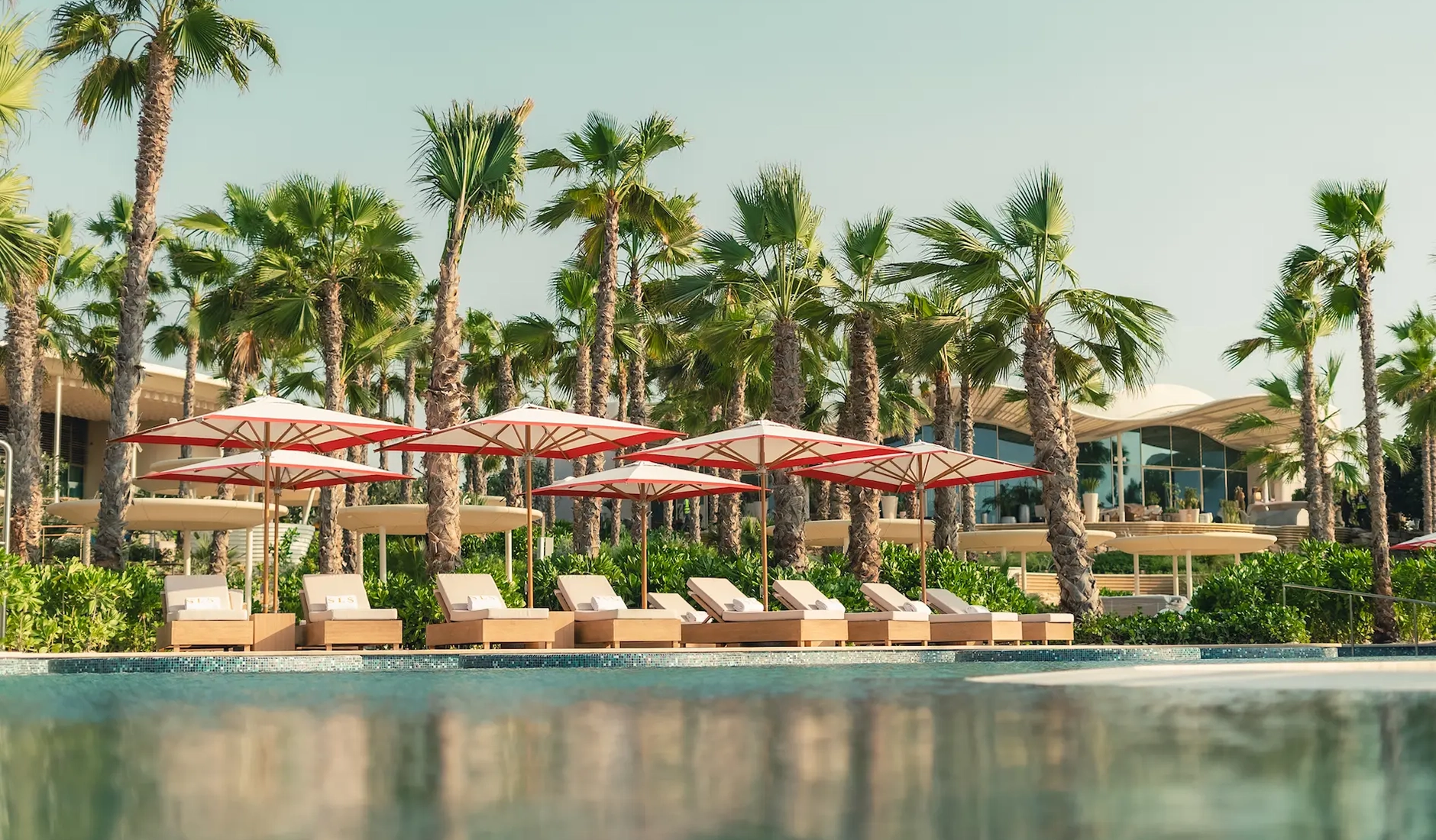 Vibrant main outdoor swimming pool area at SLS The Red Sea, and lush tropical palms.